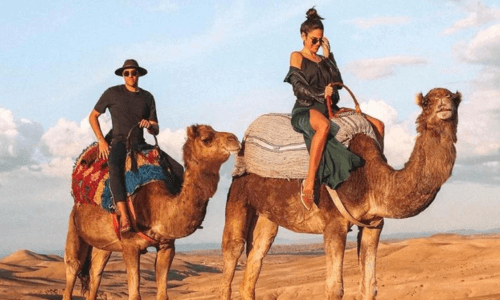 Barbecue and Sunset Camel Ride