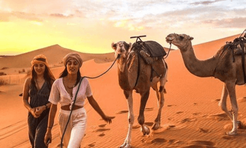 Camel Ride in Tamraght and taghazout