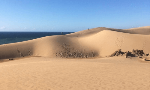 Paradise valley & Sand dunes trip