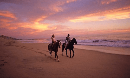 Sunset Horse Ride tour