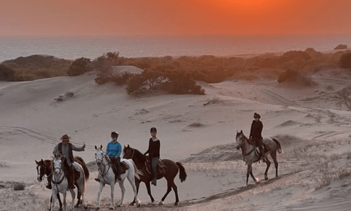 Sunset Horse Ride tour