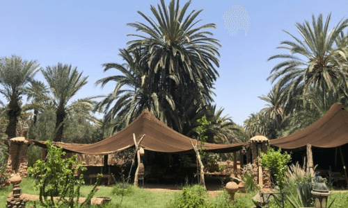 Taghazout to Taroudant day trip