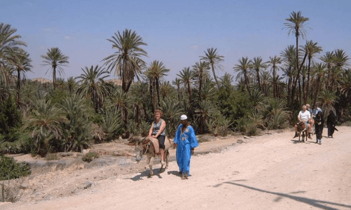 Taghazout to Taroudant day trip