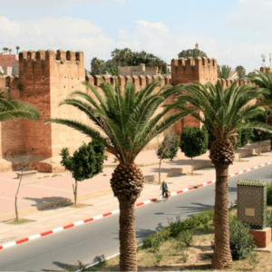 Taroudant Day Trip from Agadir