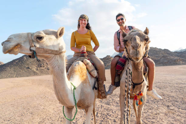 Camel ride in Agadir