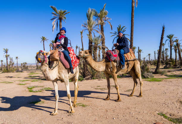 Camel ride in Agadir