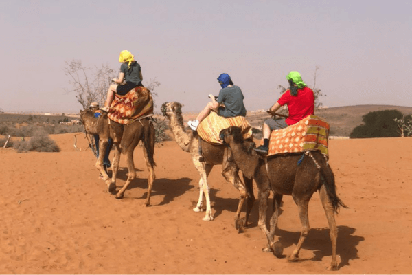 Agadir to small desert