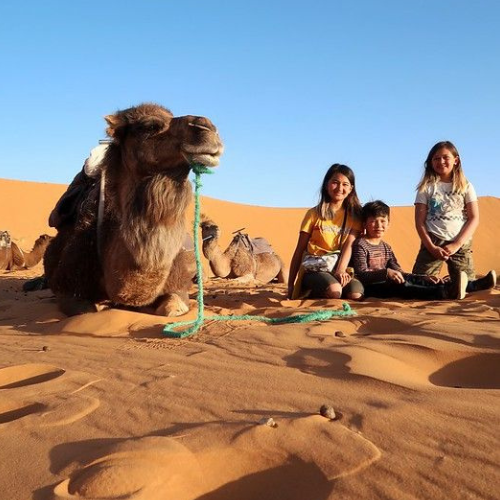 Top Family-Friendly Excursions in Agadir