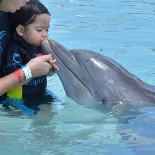 Top Family-Friendly Excursions in Agadir