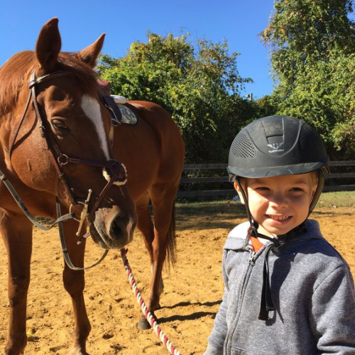 Top Family-Friendly Excursions in Agadir