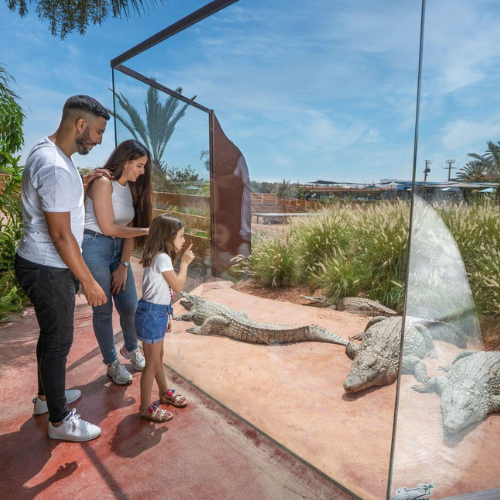 Top Family-Friendly Excursions in Agadir