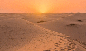 Sahara sand dunes from Agadir