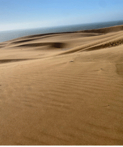 Sahara sand dunes from Agadir