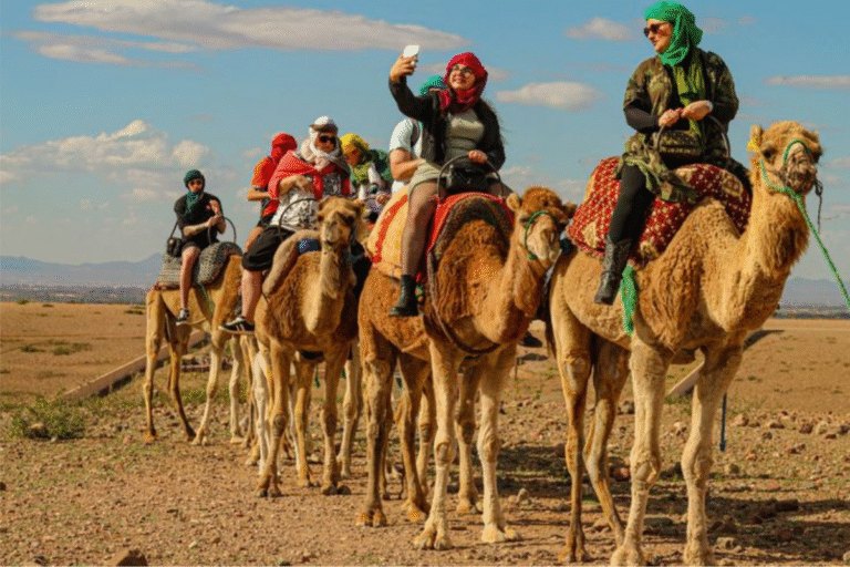 Camel ride in agadir