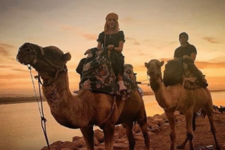 Camel ride in agadir