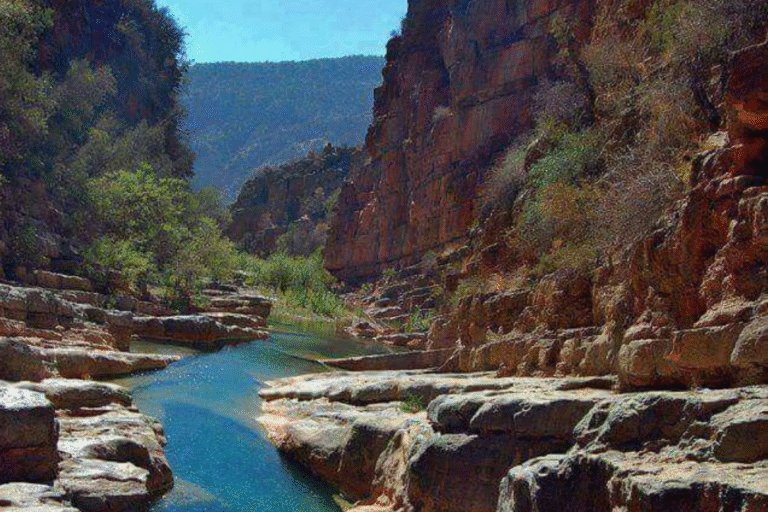 Best things to do in Taghazout.
