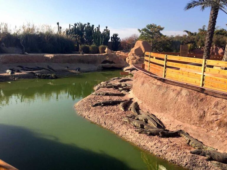 Crocopark From Taghazout