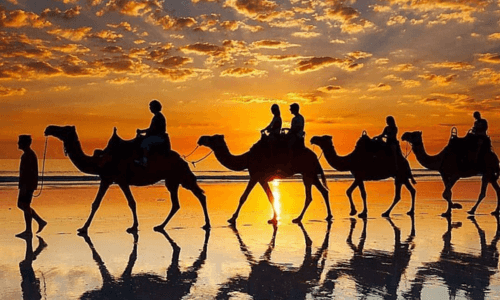 Sunset camel ride in taghazout