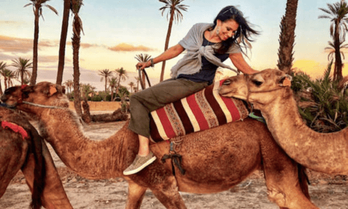 Sunset camel ride in taghazout