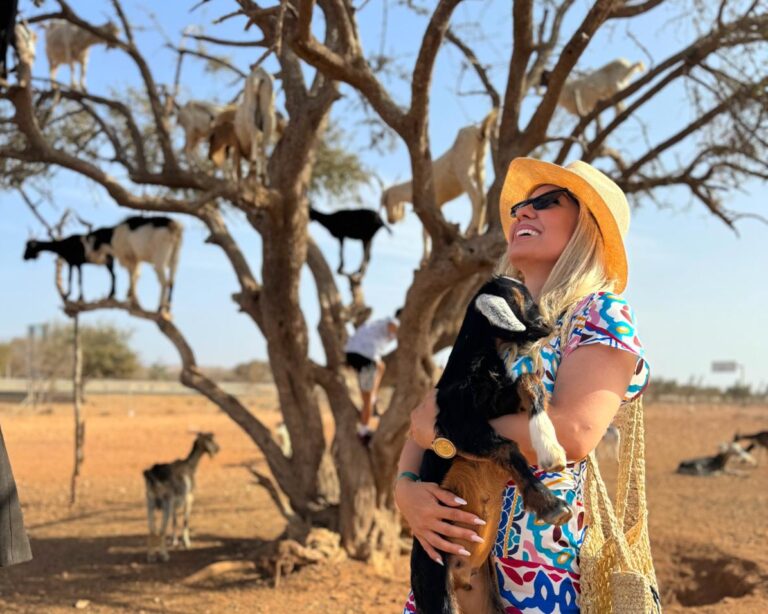 Goats on the Trees & Paradise Valley Tour with Lunch from Agadir
