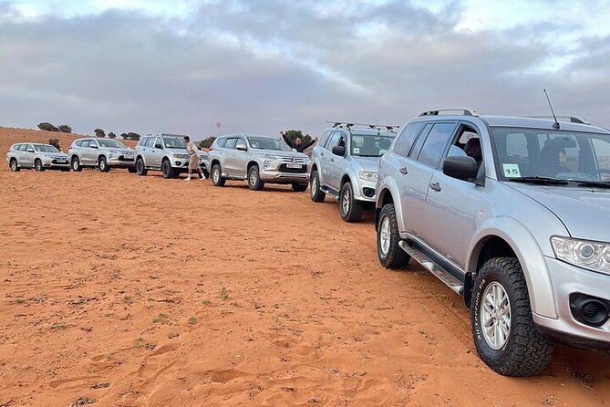 mini sahara and national bark