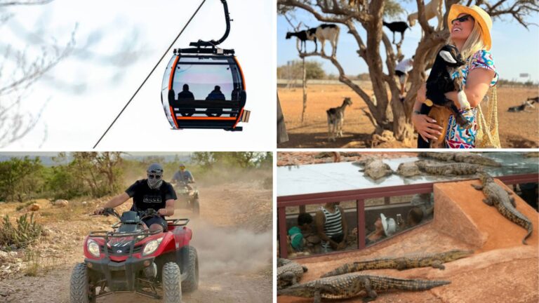 Goats on Trees, Crocoparc & Cable Car Agadir, Quad bike Combo Tour
