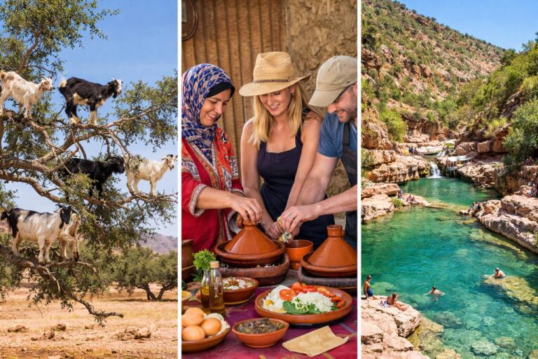 Agadir Paradise Valley Tour, Cooking Class & Goats on Trees Experience